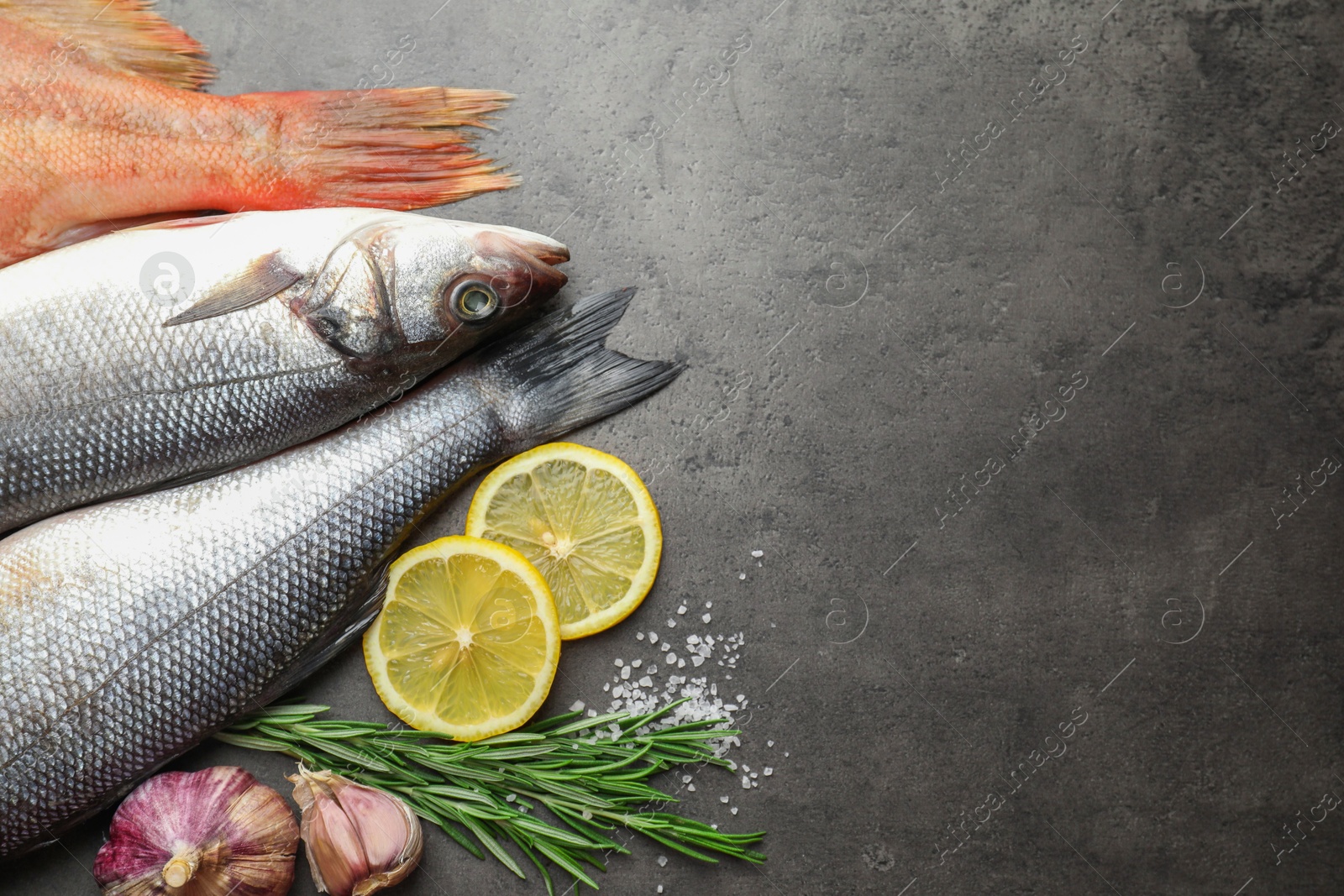 Photo of Different fishes and spices on grey table, top view with space for text. Sea food