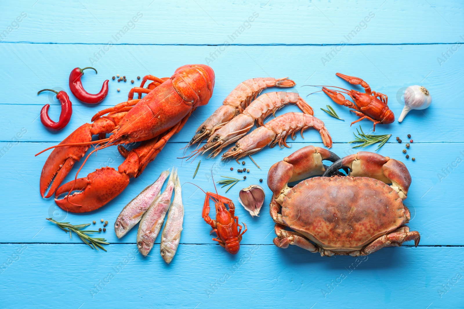 Photo of Different sea food on light blue wooden table, flat lay