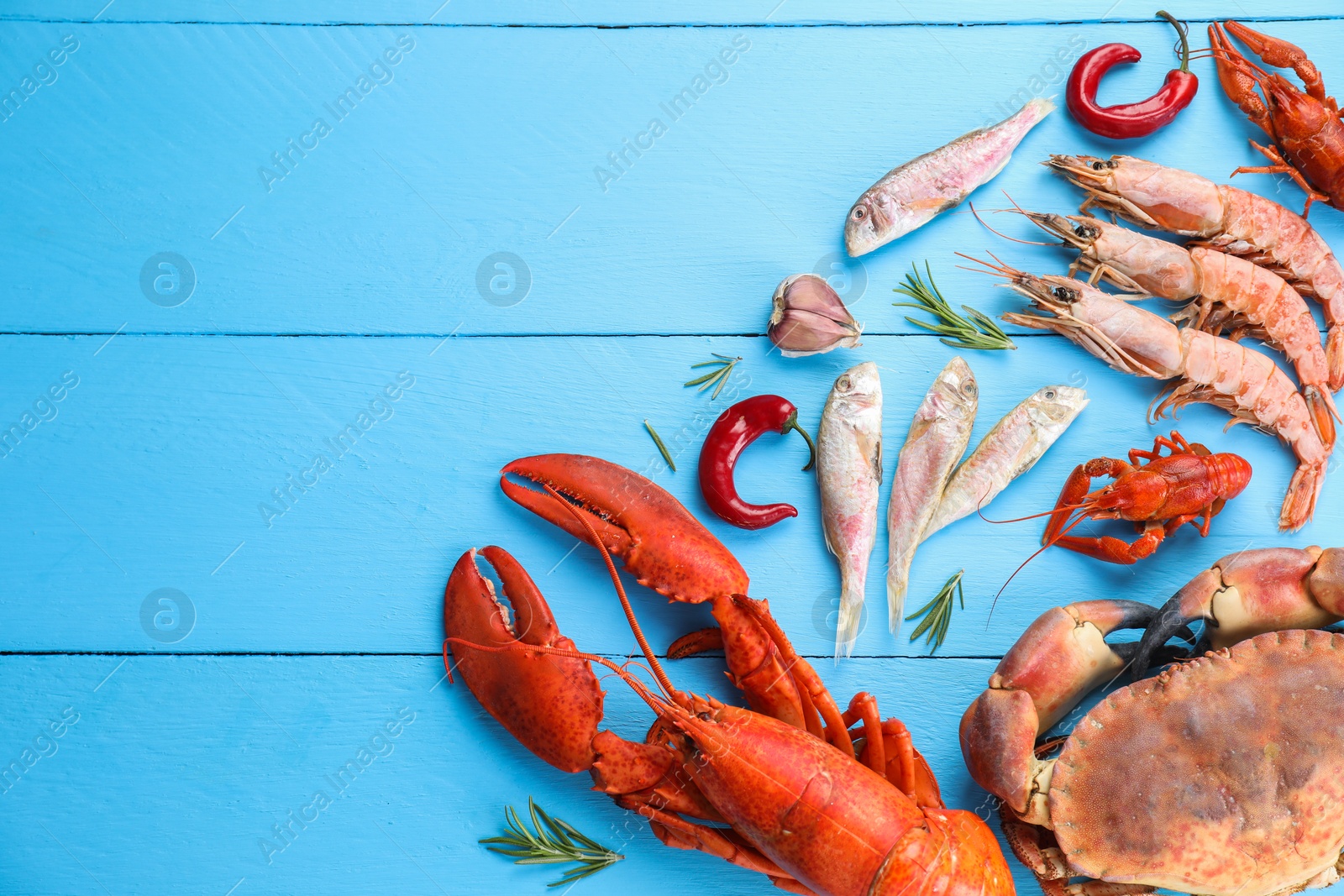 Photo of Different sea food on light blue wooden table, flat lay. Space for text