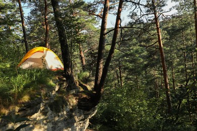 Photo of Modern camping tent in forest at summer, space for text