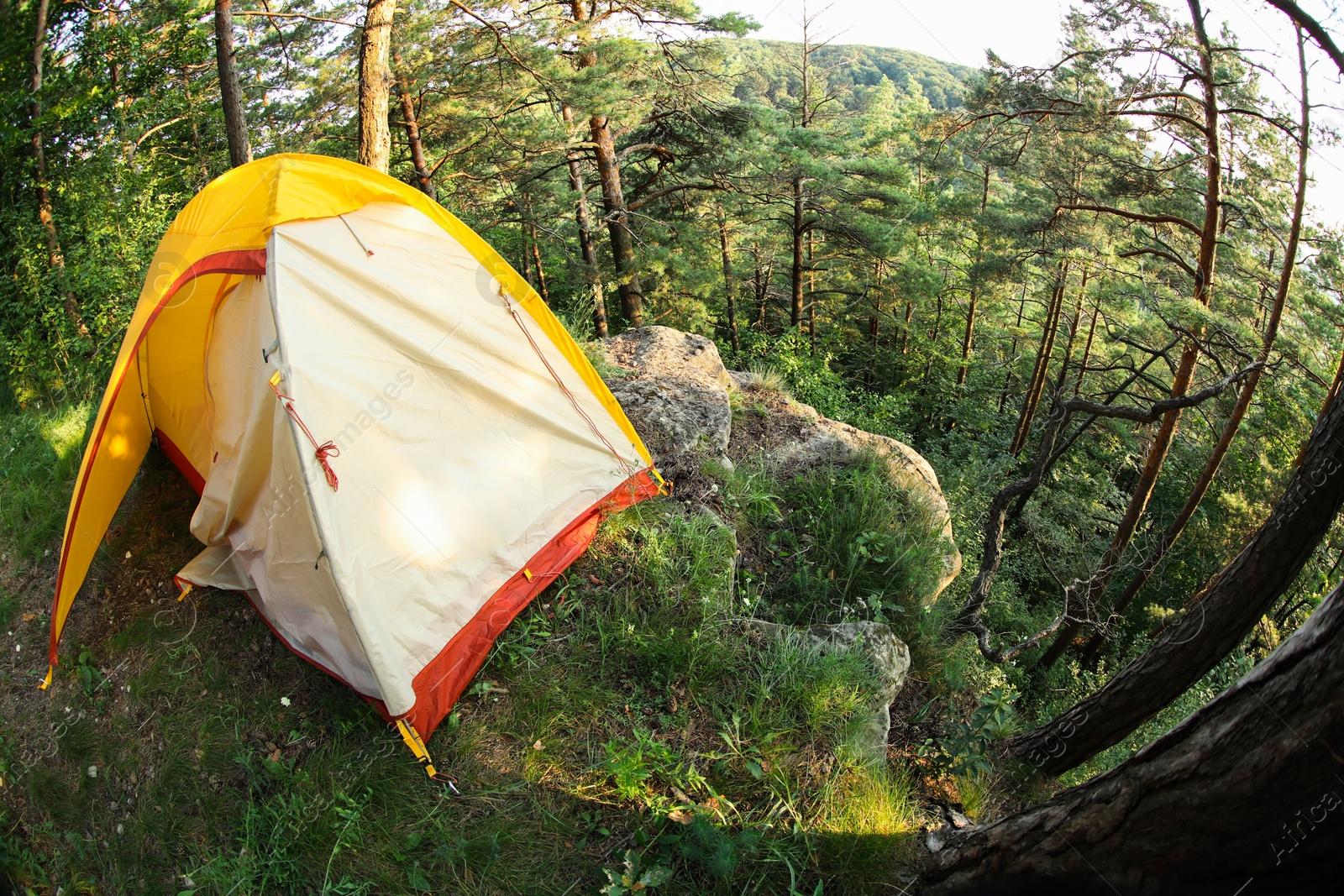 Photo of Modern camping tent in forest at summer, space for text. Fisheye lens effect