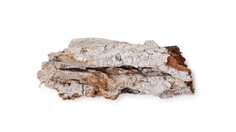 Photo of One piece of tree bark isolated on white, top view