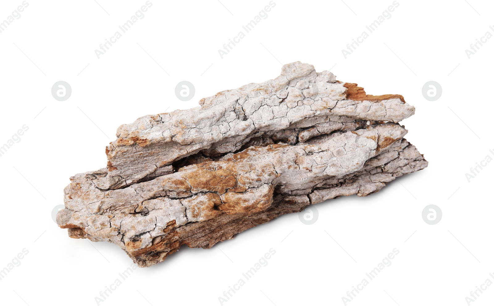 Photo of One piece of tree bark isolated on white