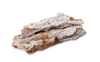 Photo of One piece of tree bark isolated on white