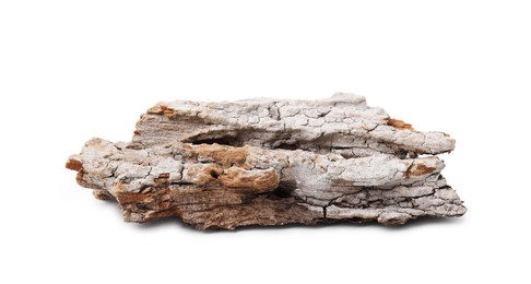 Photo of One piece of tree bark isolated on white