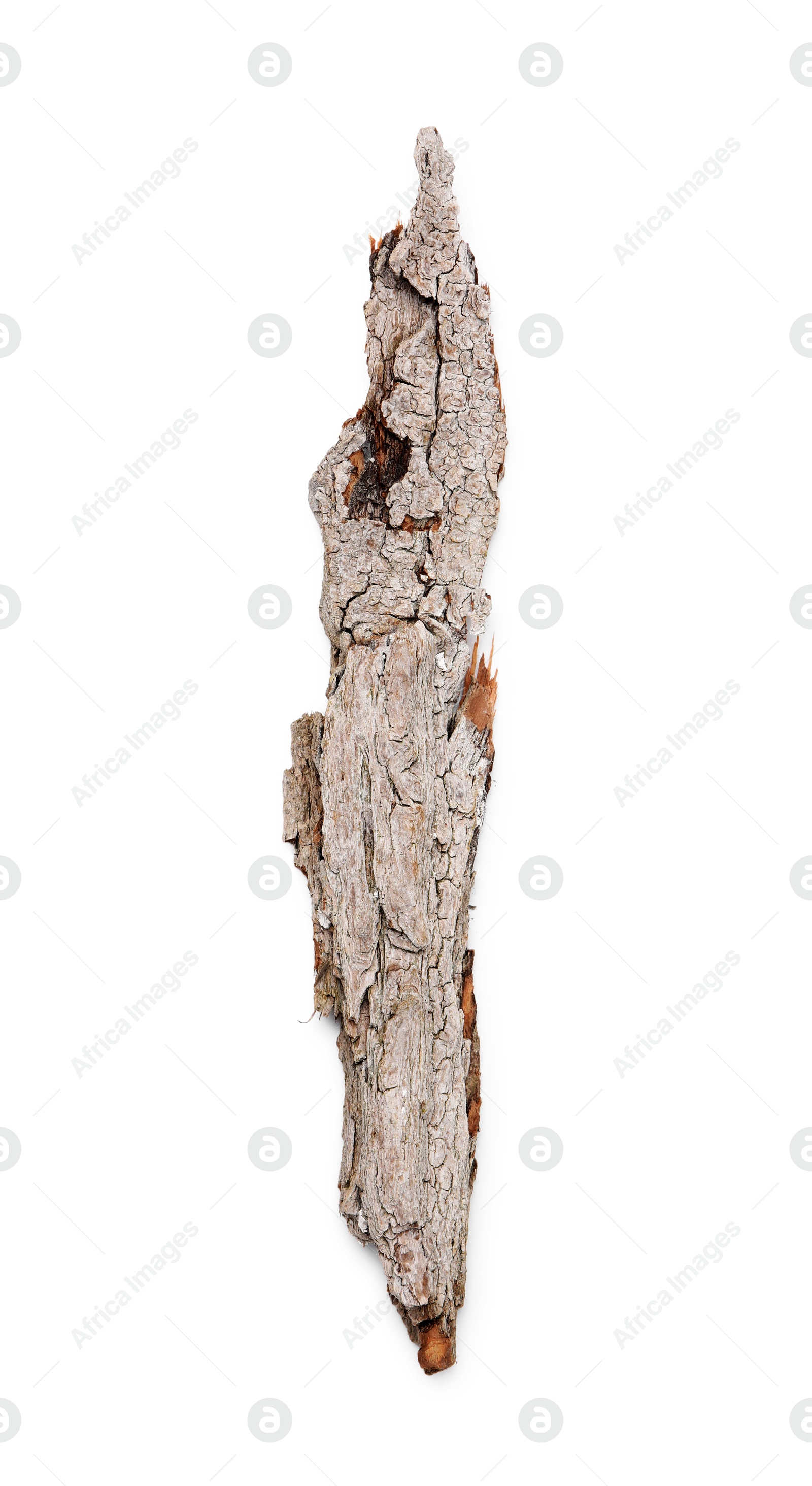 Photo of One piece of tree bark isolated on white, top view