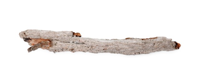 Photo of One piece of tree bark isolated on white, top view