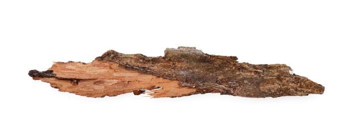 Photo of One piece of tree bark isolated on white, top view