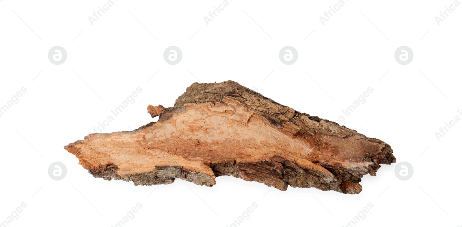 Photo of One piece of tree bark isolated on white, top view