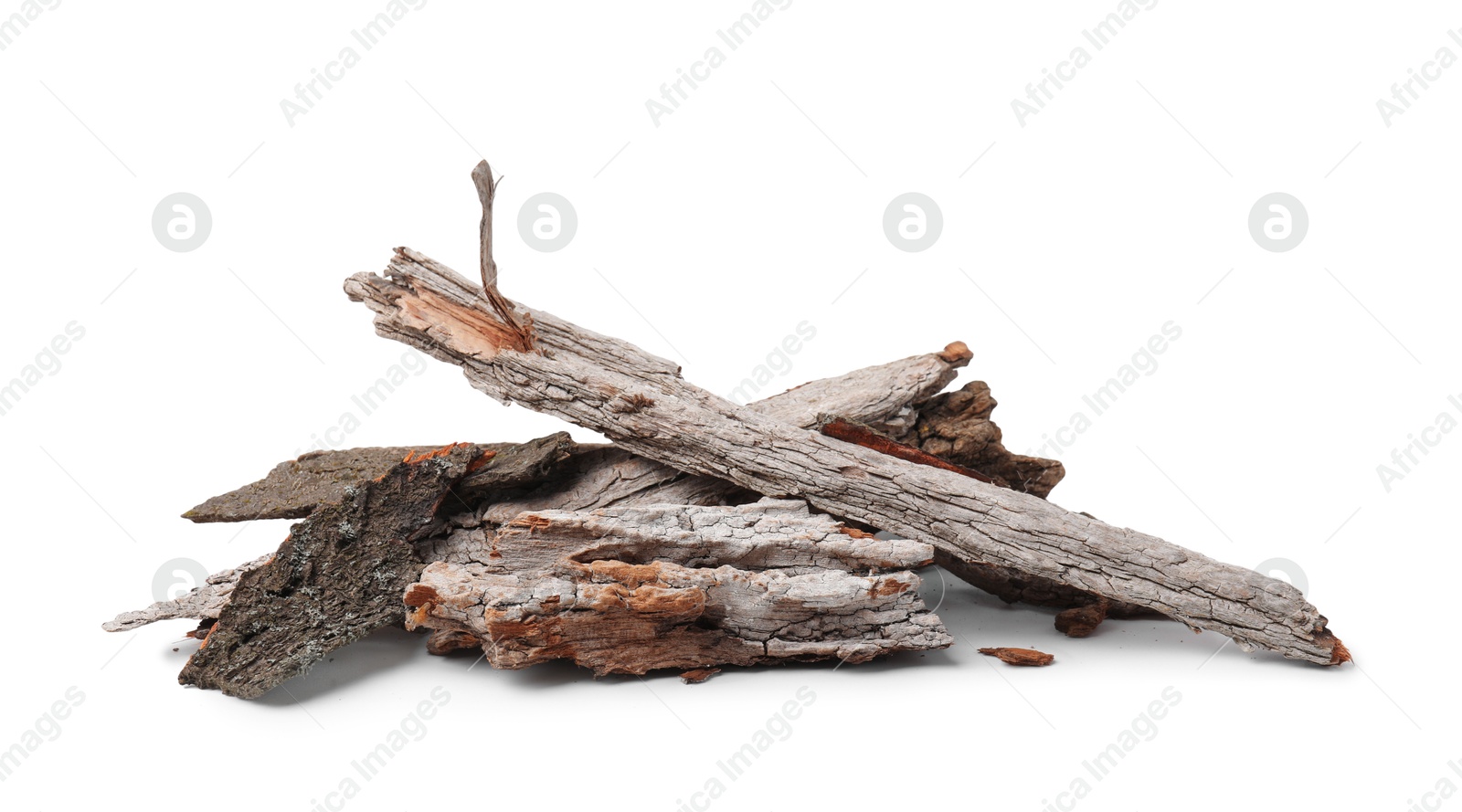 Heap of tree bark pieces isolated on white Photo of Heap of tree bark pieces isolated on white