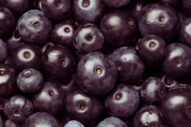 Photo of Ripe acai berries as background, top view