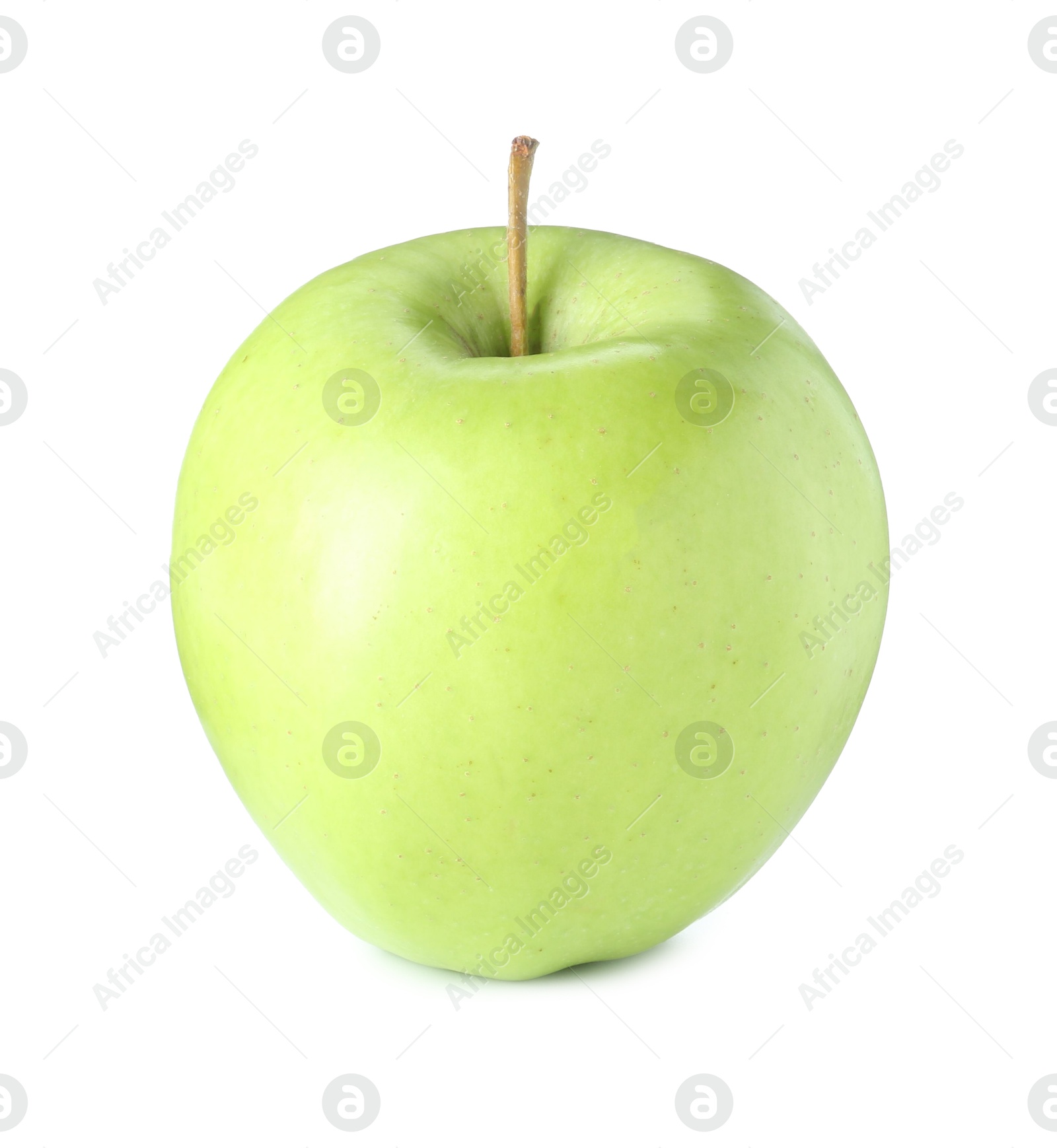 Photo of One ripe green apple isolated on white