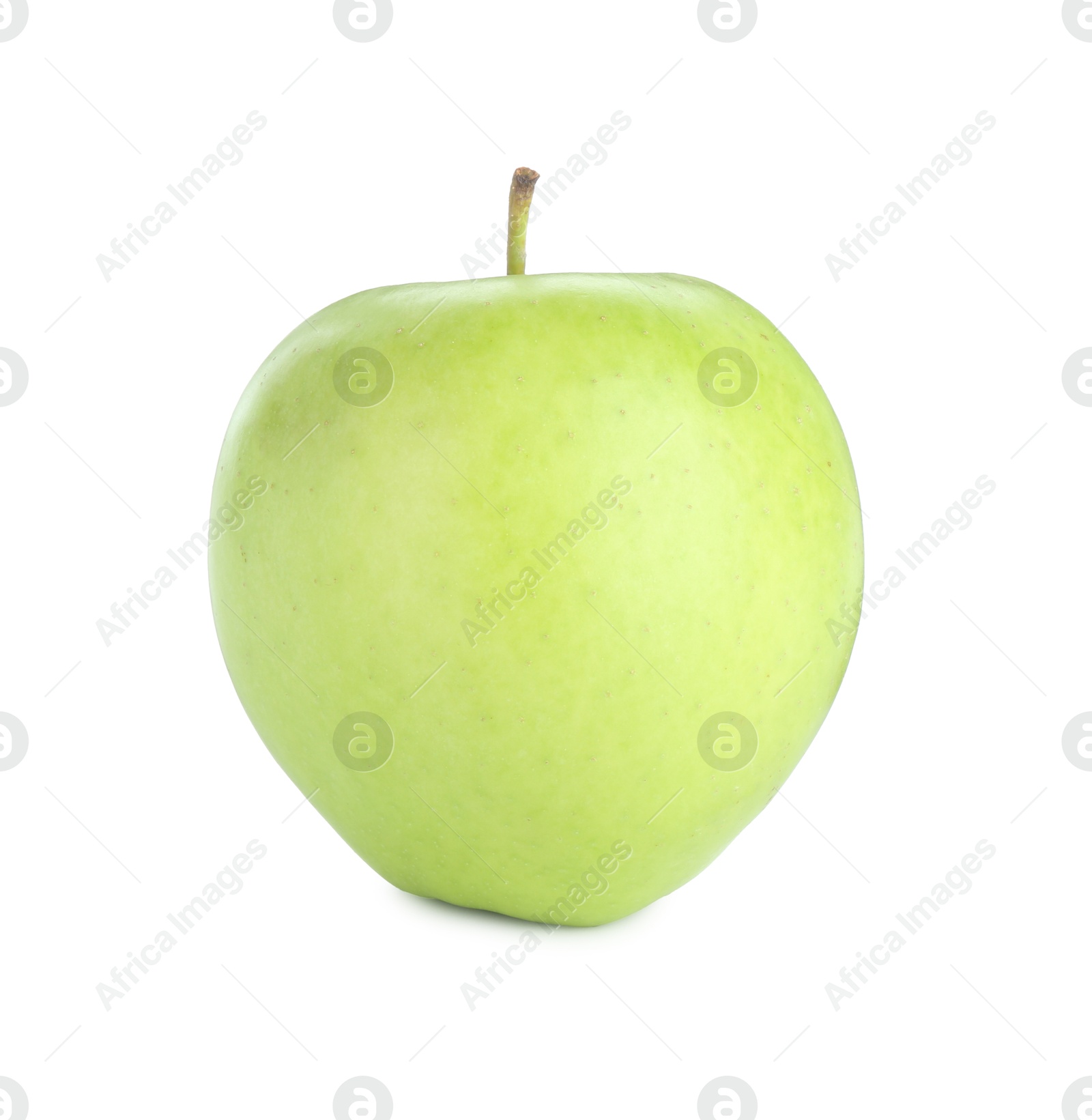 Photo of One ripe green apple isolated on white