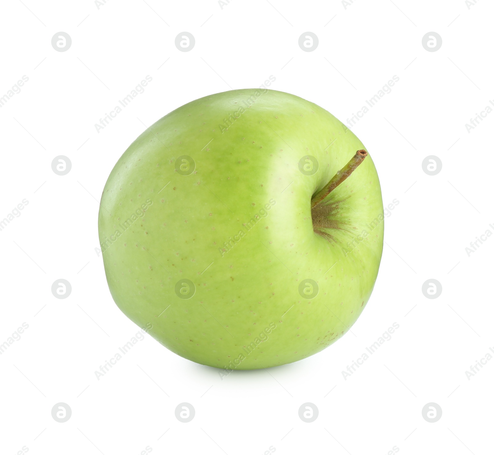 Photo of One ripe green apple isolated on white