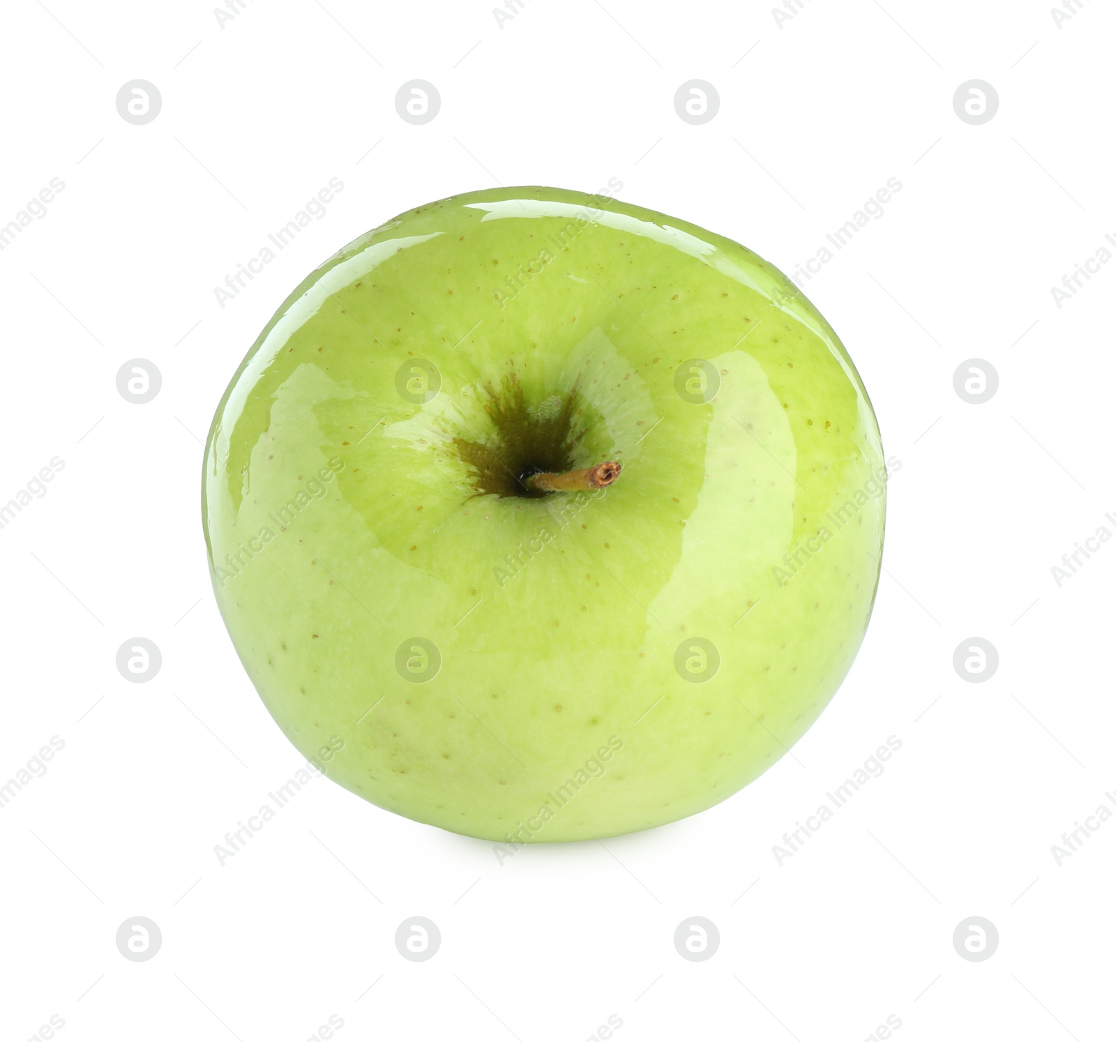 Photo of One ripe green apple isolated on white