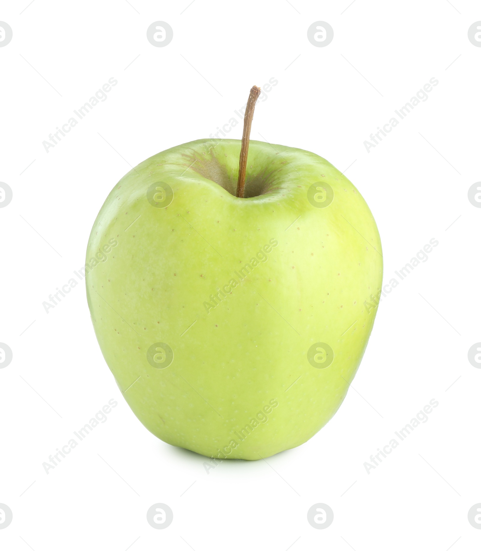 Photo of One ripe green apple isolated on white