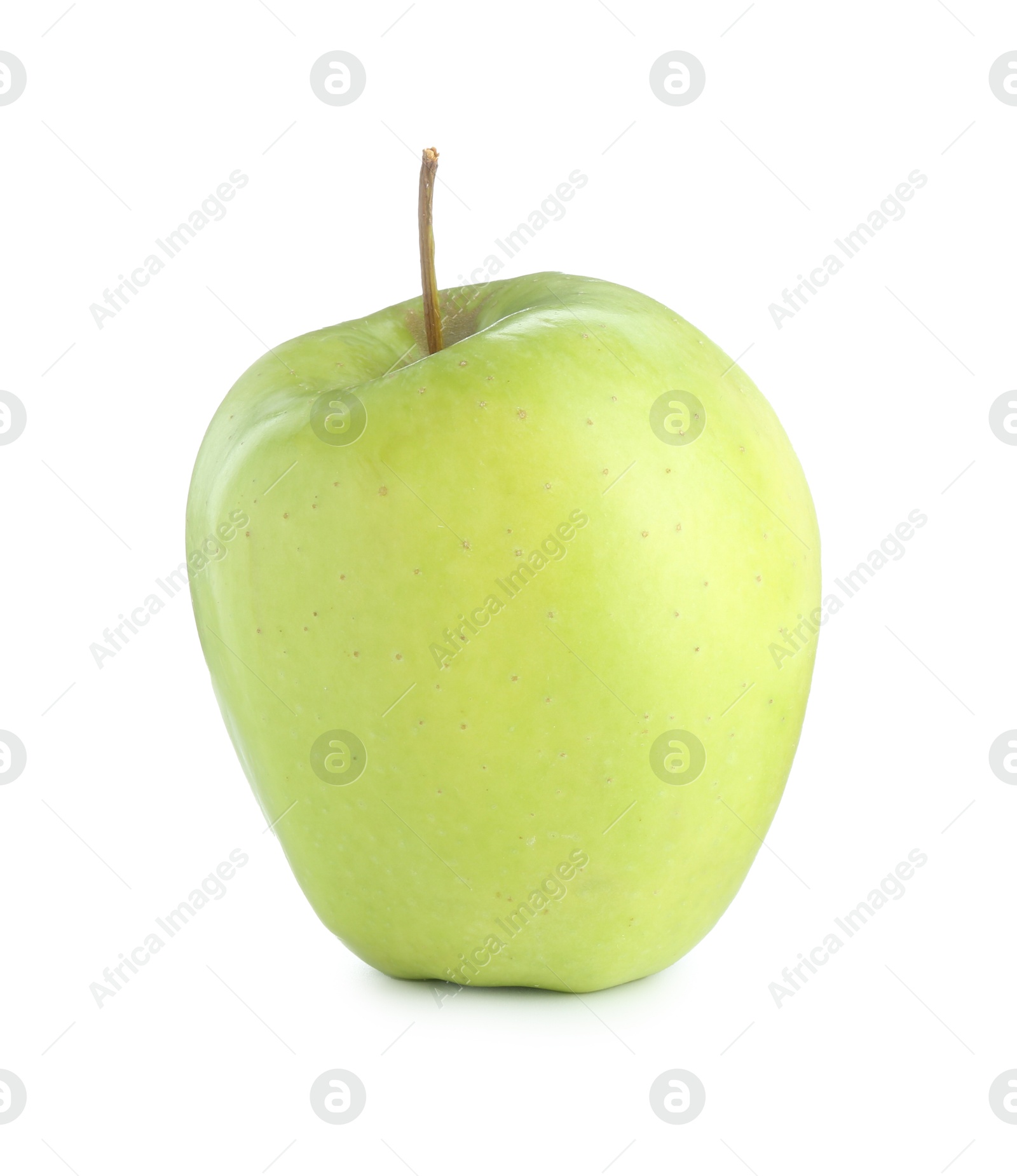 Photo of One ripe green apple isolated on white