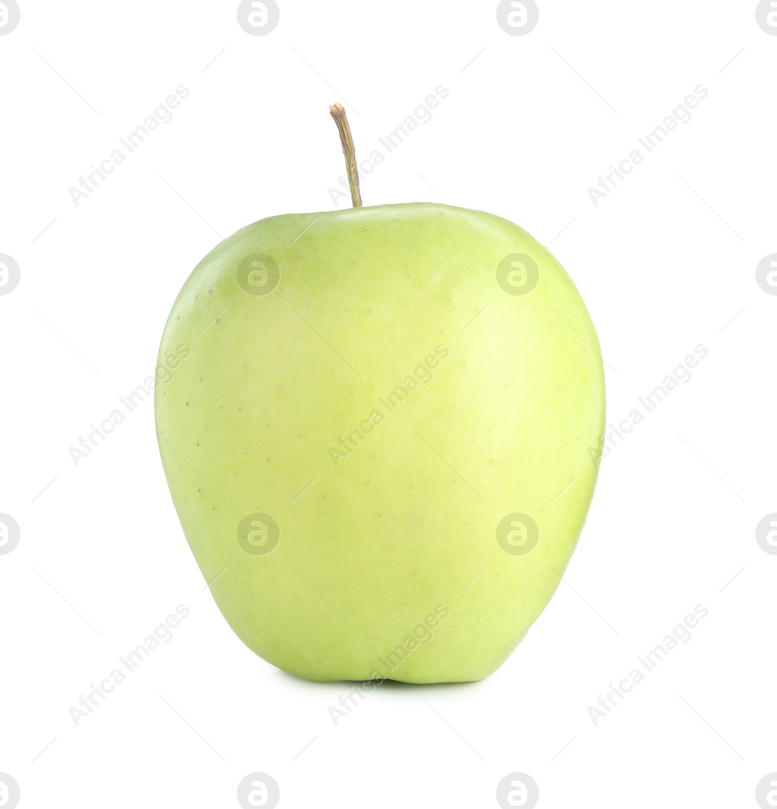 Photo of One ripe green apple isolated on white