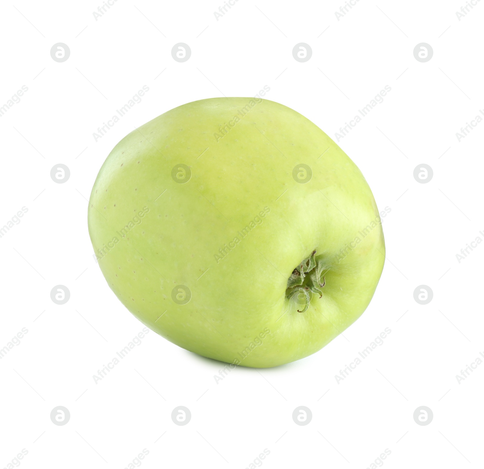 Photo of One ripe green apple isolated on white