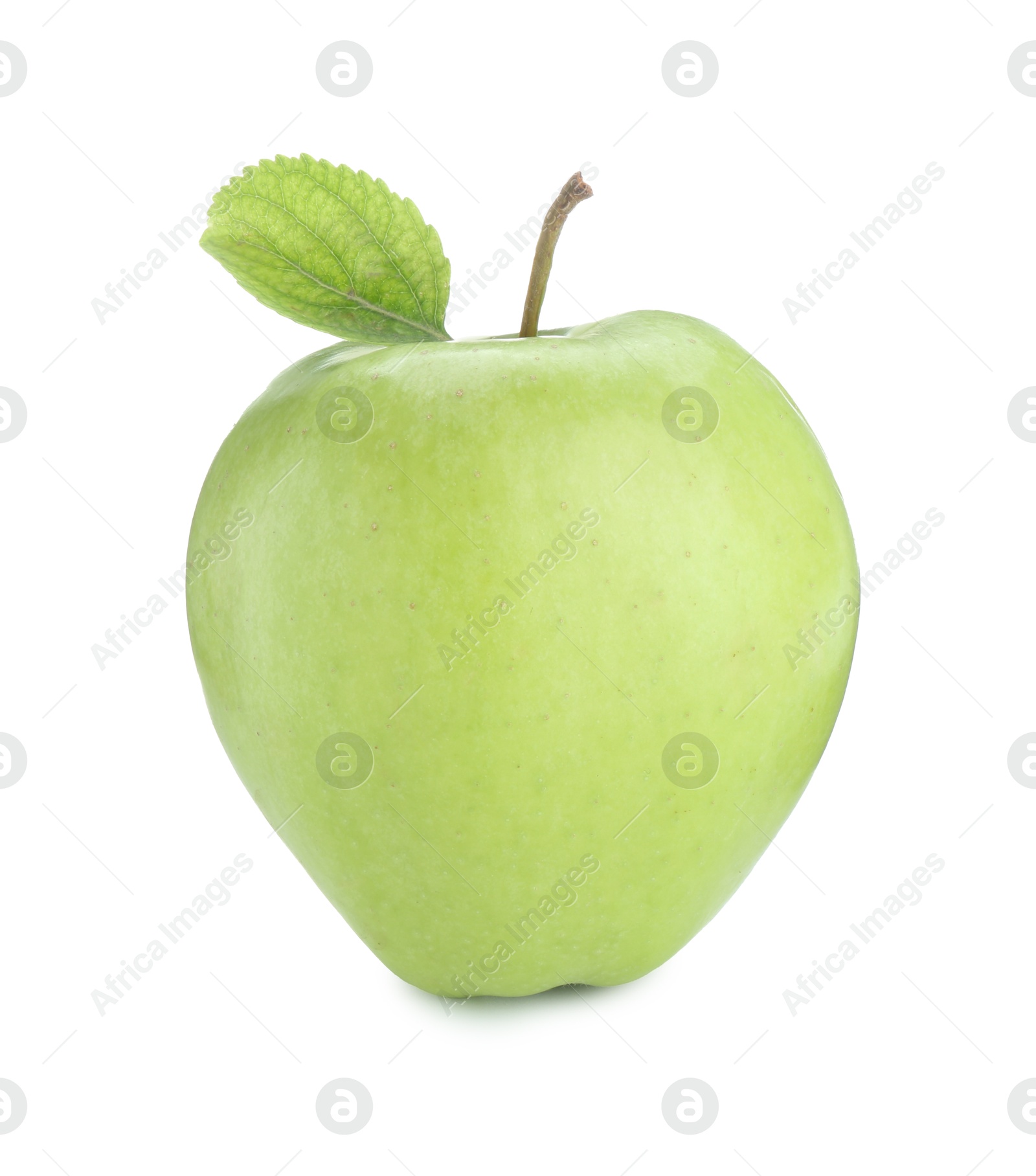 Photo of One ripe green apple isolated on white