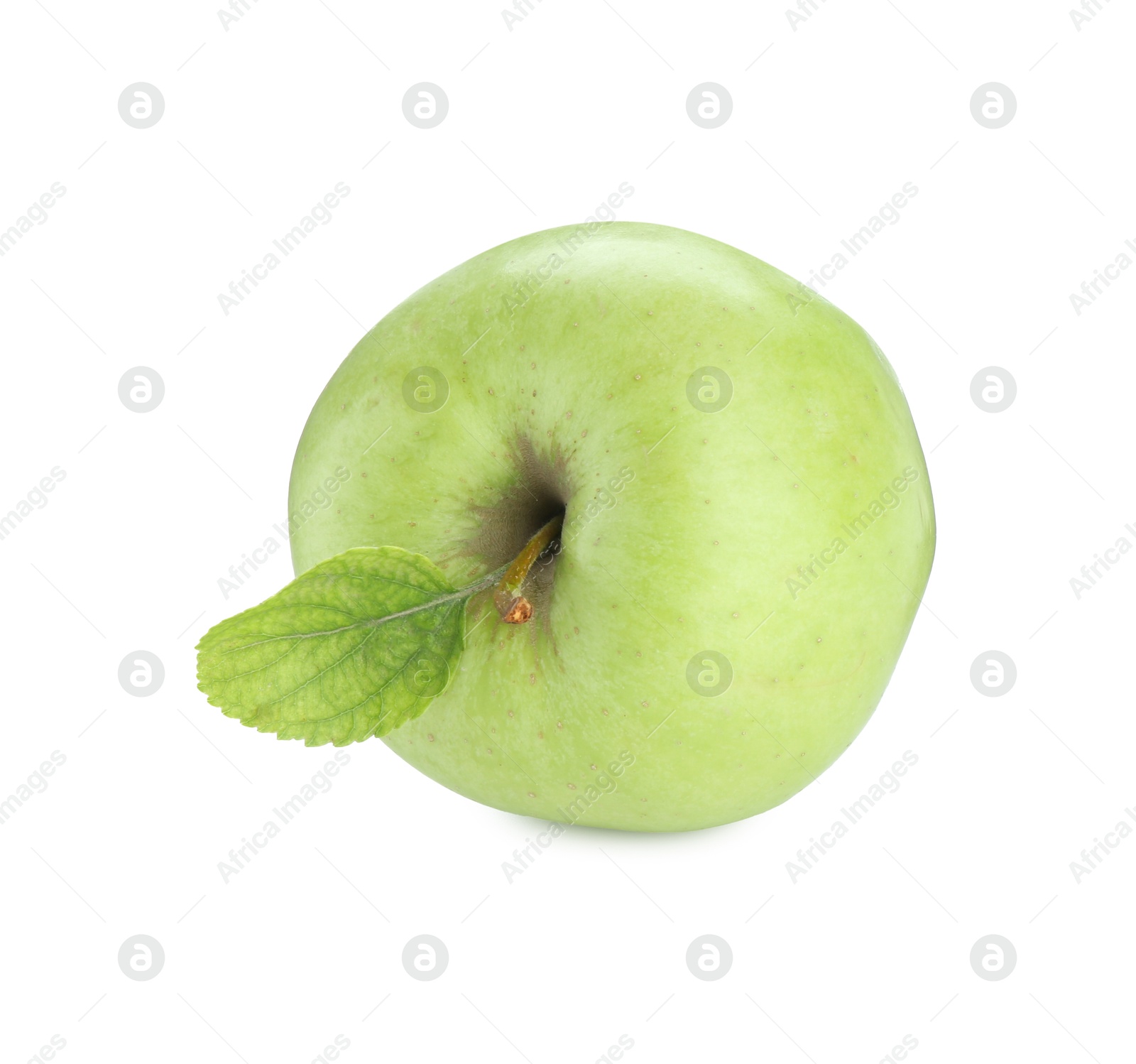 Photo of One ripe green apple isolated on white