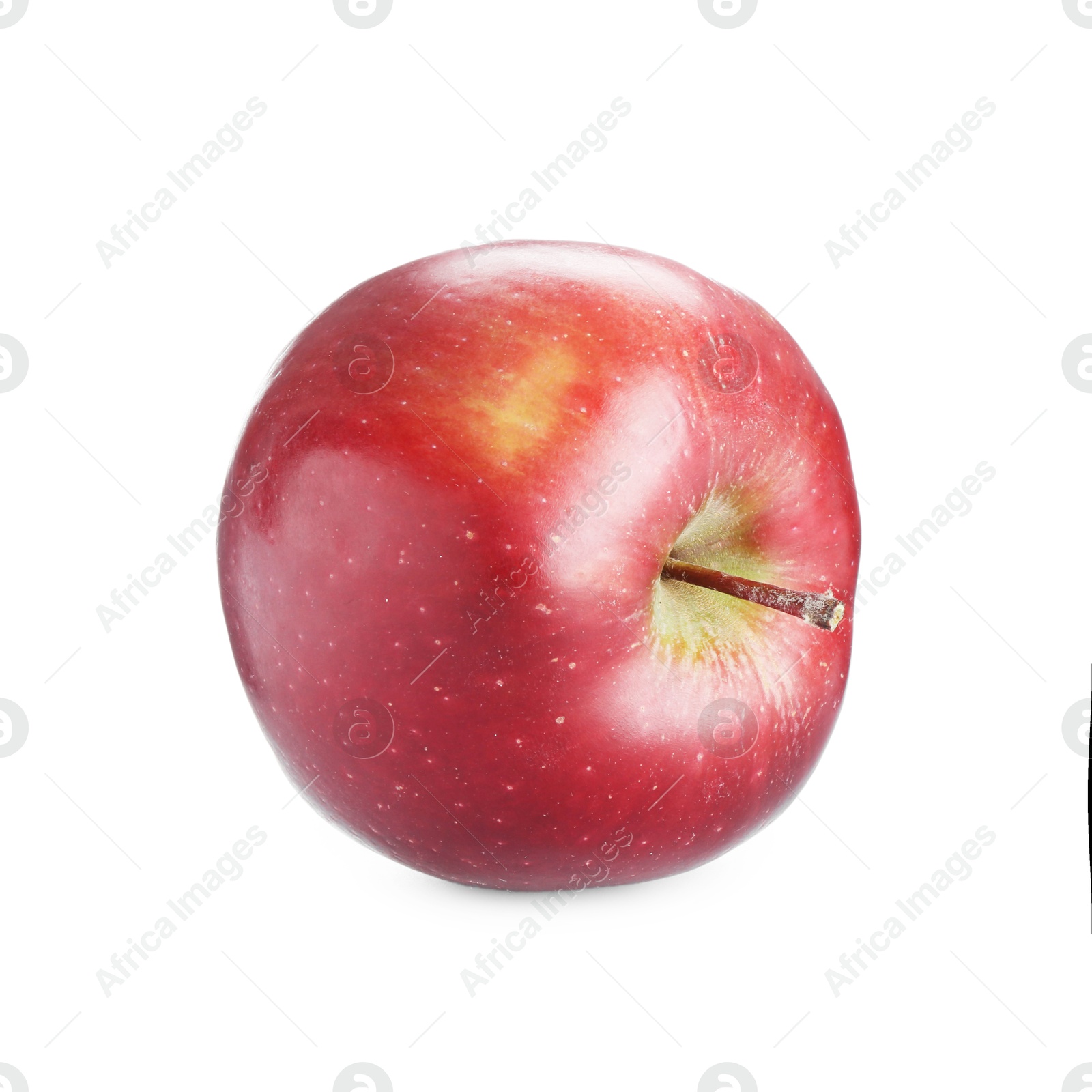 Photo of One fresh red apple isolated on white