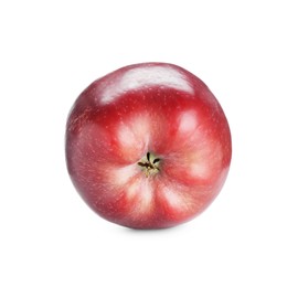 Photo of One fresh red apple isolated on white