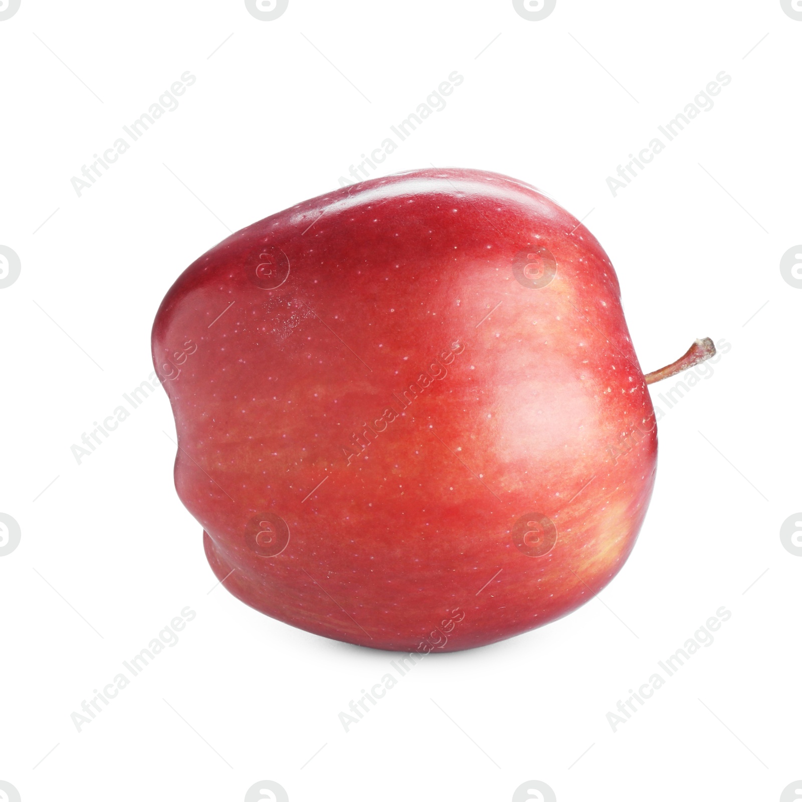 Photo of One fresh red apple isolated on white