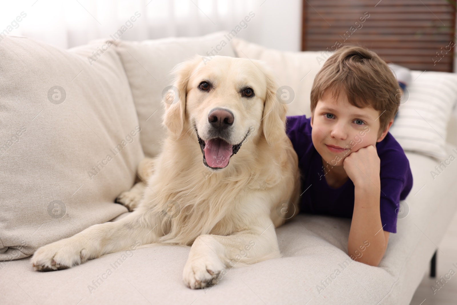 Photo of Boy with his cute dog on sofa at home