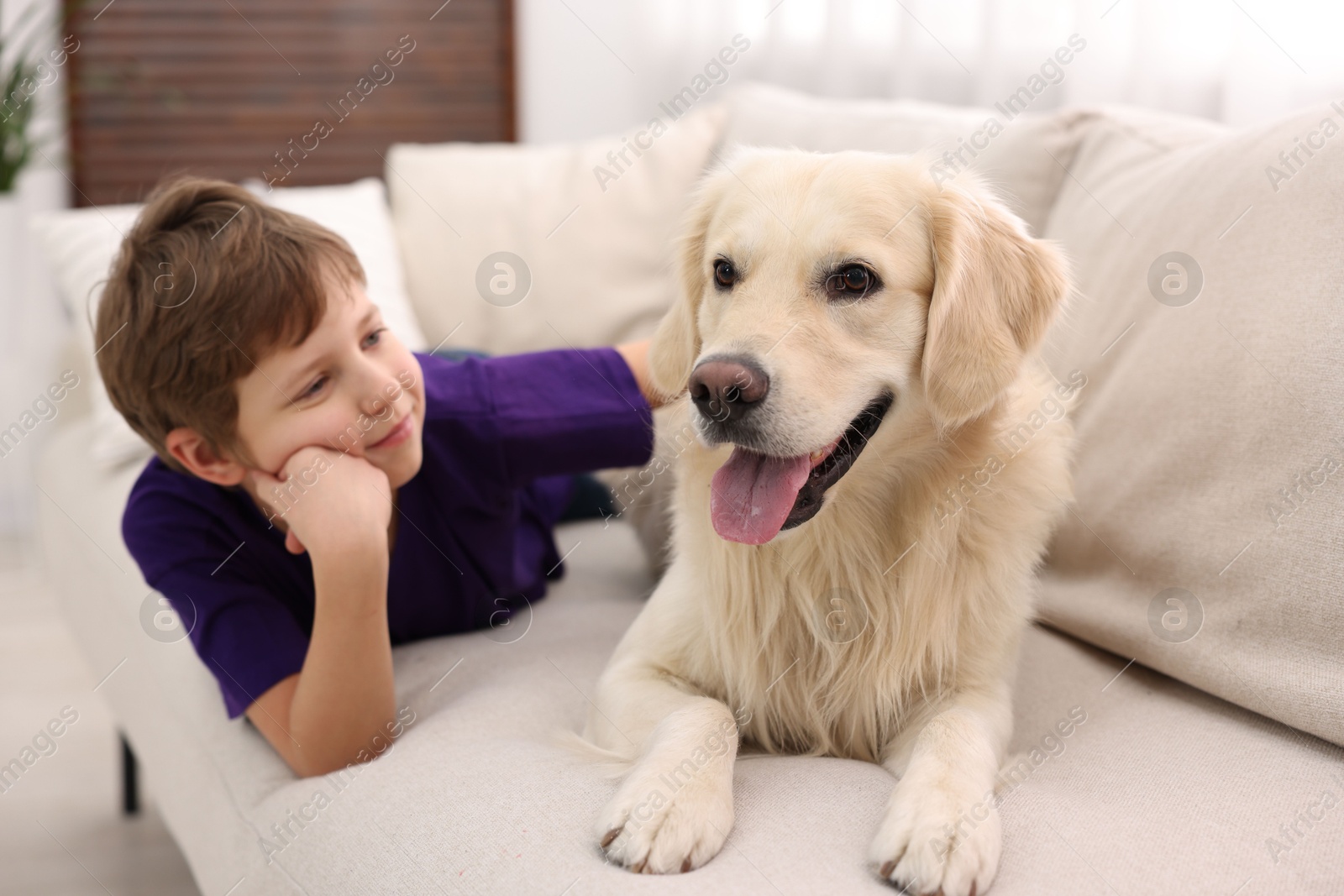 Photo of Boy with his cute dog on sofa at home