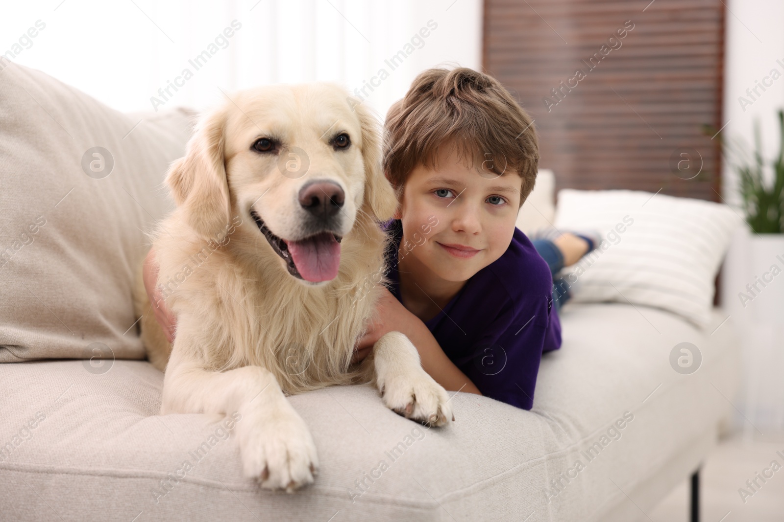 Photo of Boy with his cute dog on sofa at home