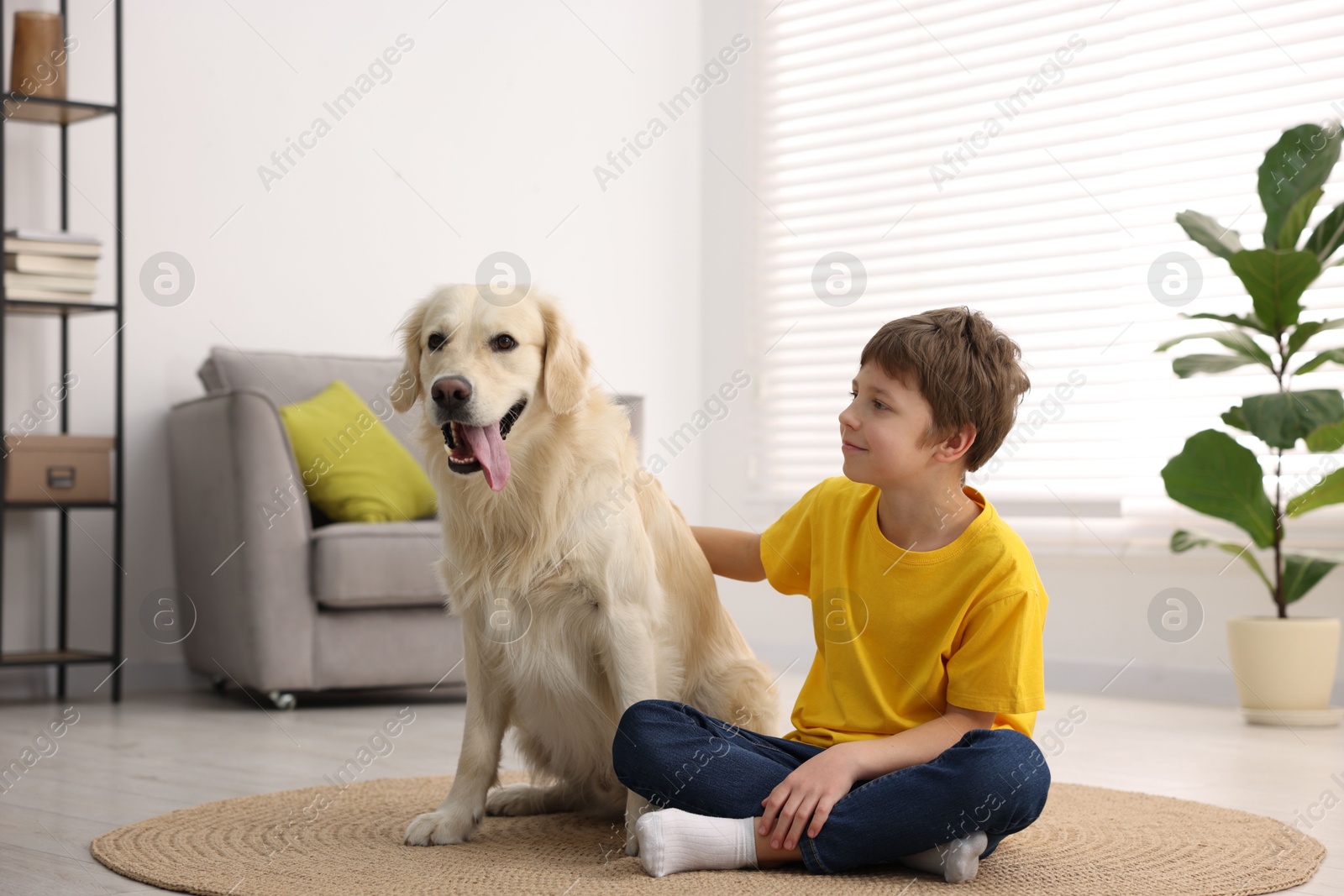 Photo of Boy with his cute dog at home