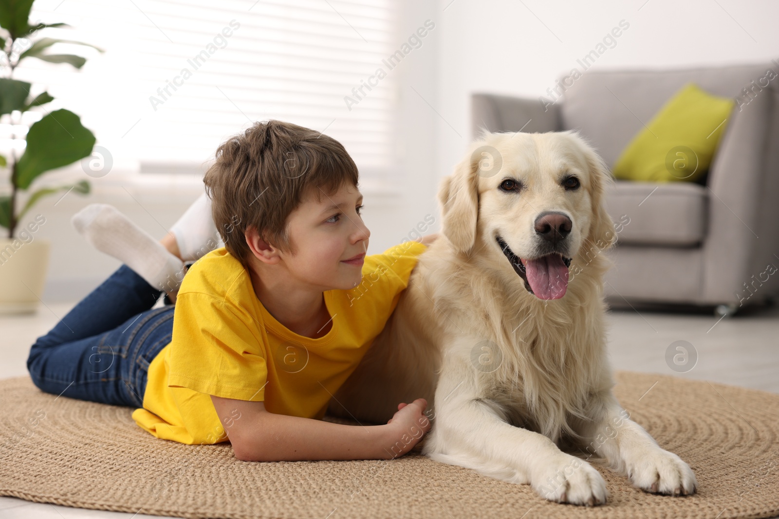 Photo of Boy with his cute dog at home