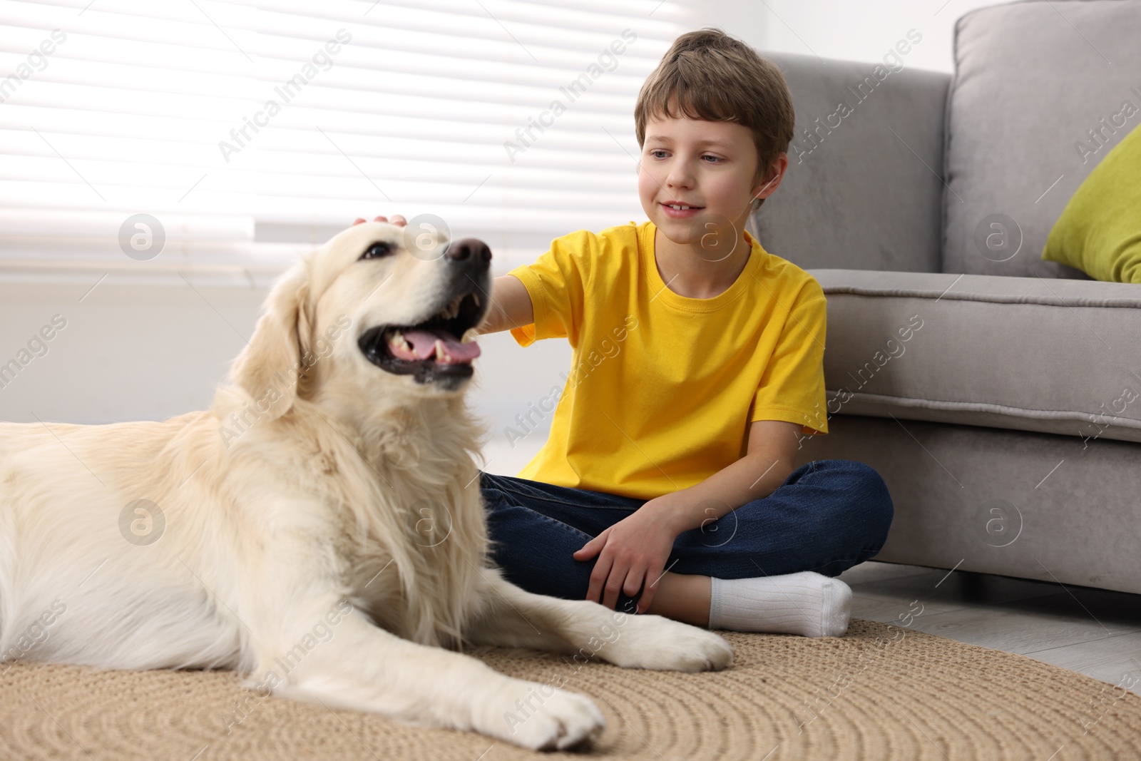 Photo of Boy with his cute dog at home