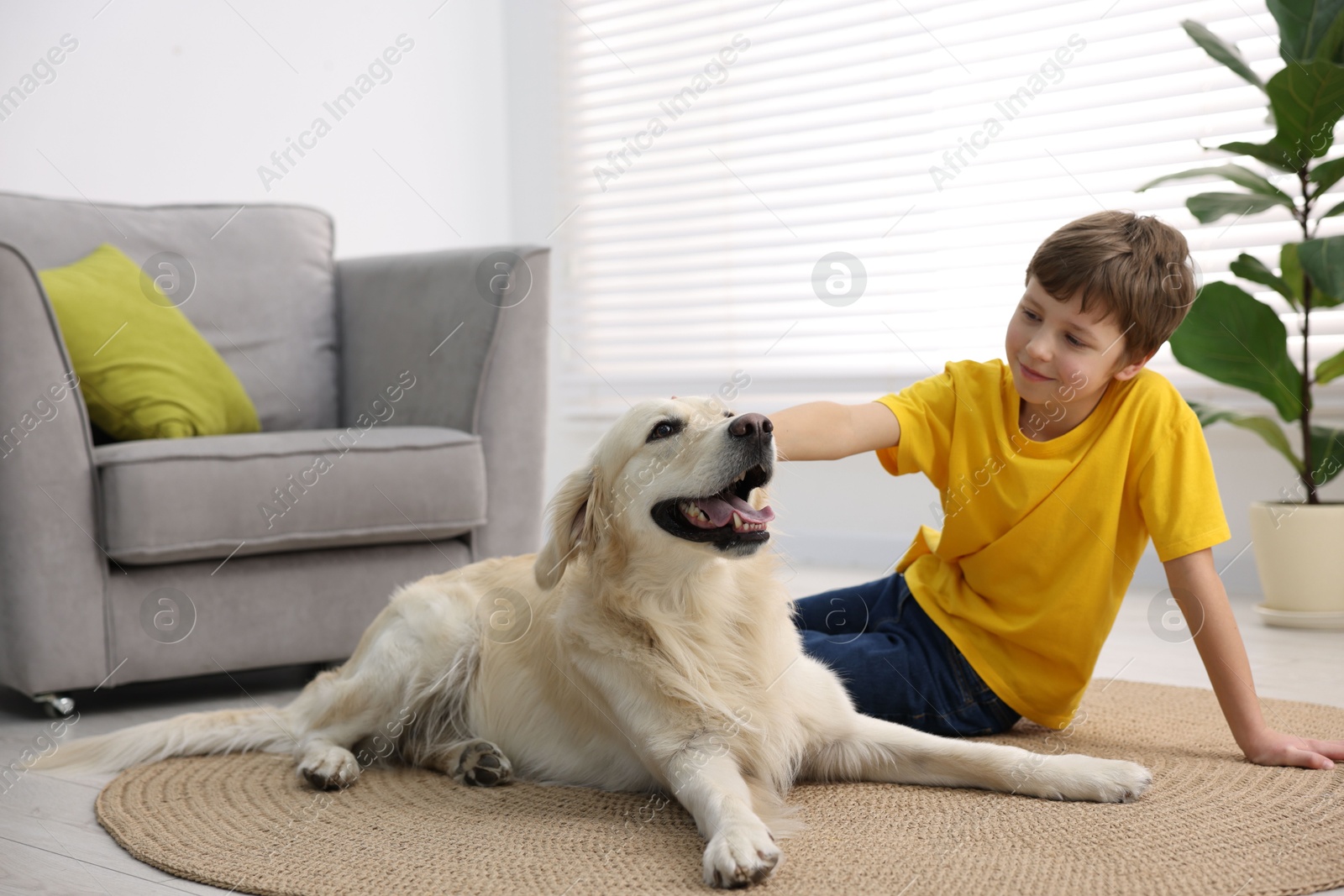 Photo of Boy with his cute dog at home