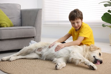 Boy with his cute dog at home