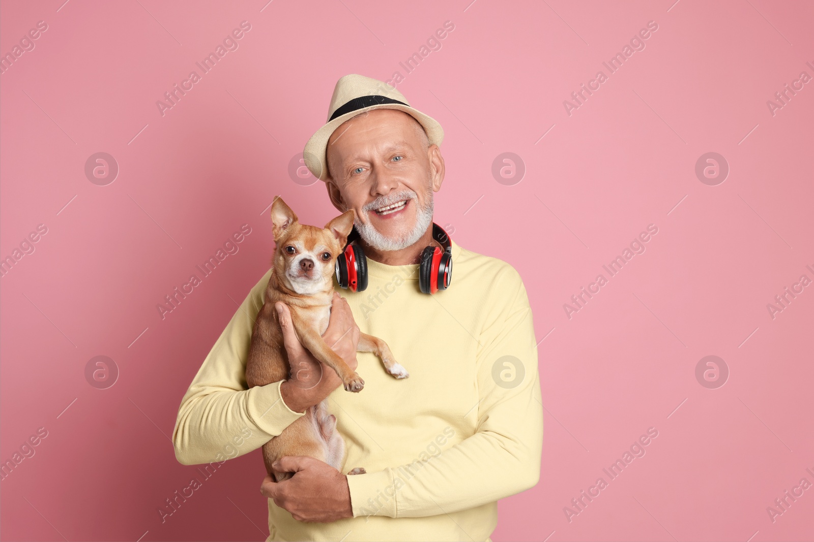 Photo of Portrait of happy senior man with Chihuahua dog on pink background