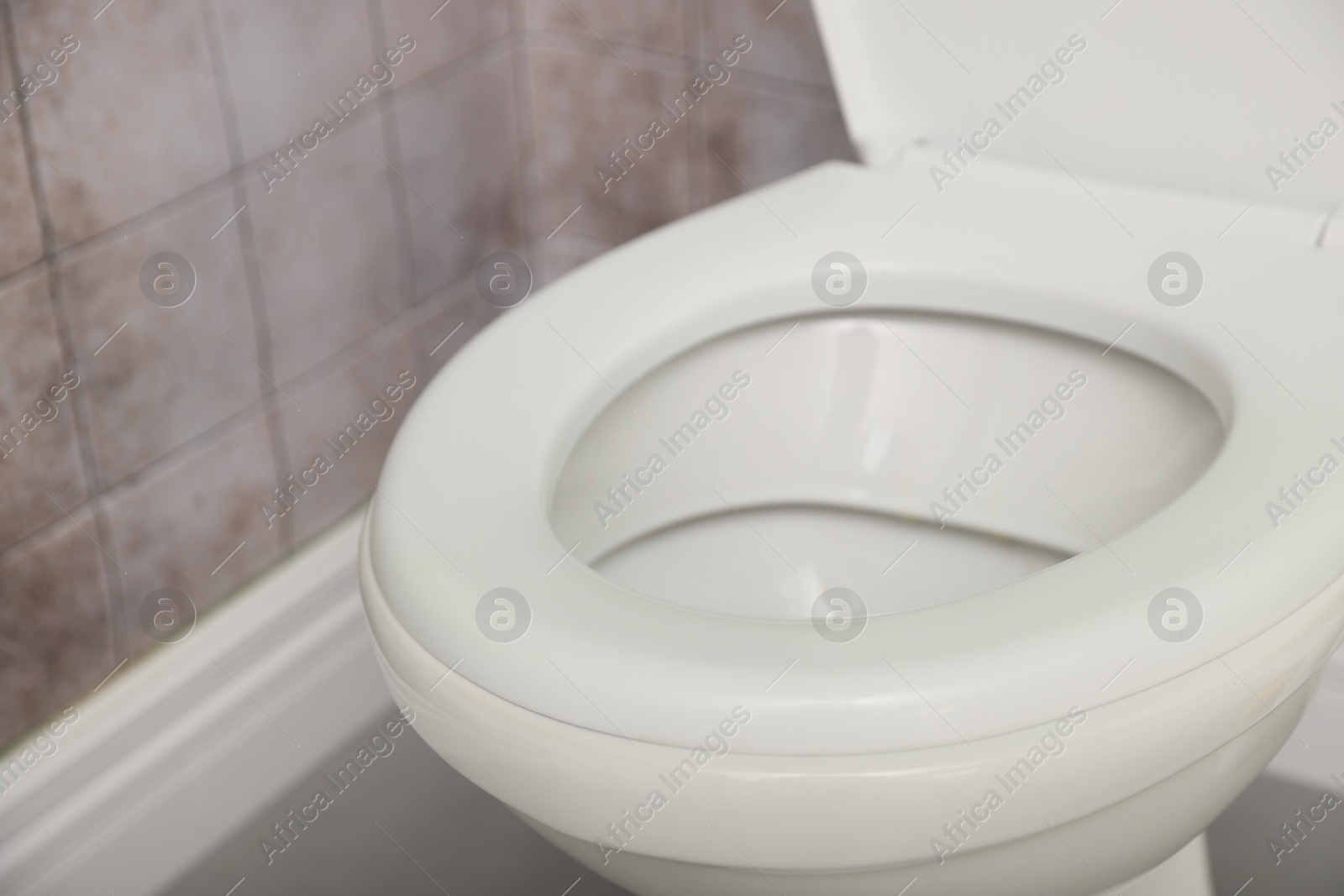 Photo of Toilet with clean seat in restroom, closeup