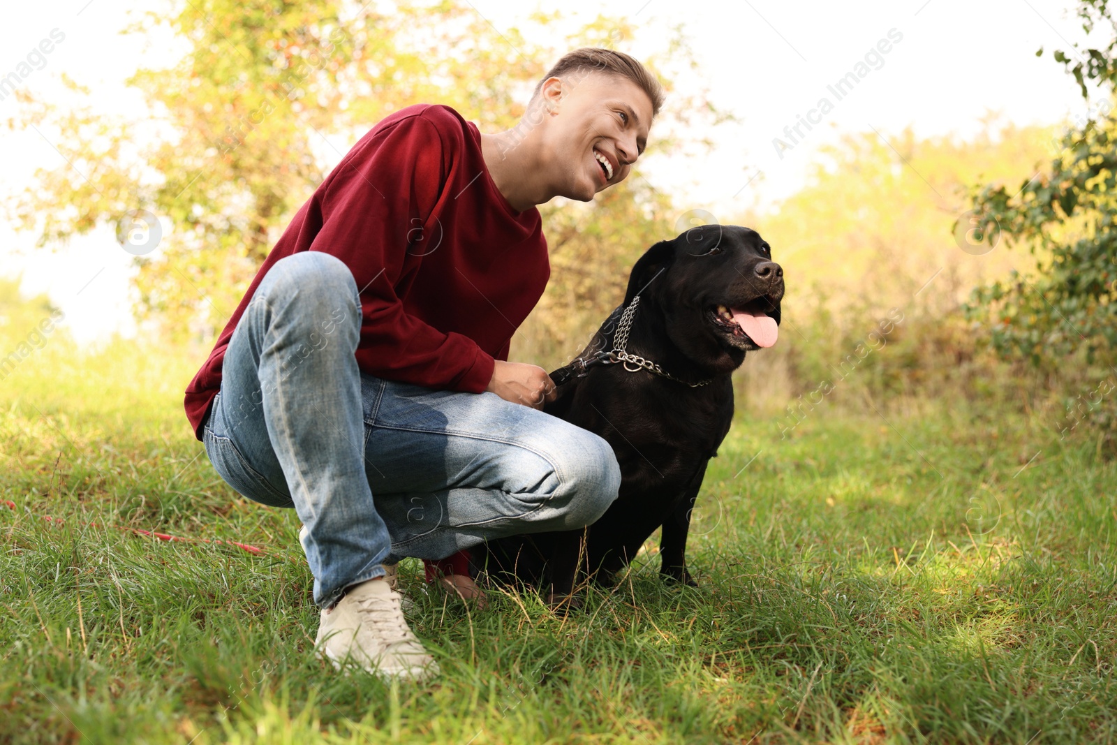 Photo of Smiling man with cute dog outdoors on autumn day