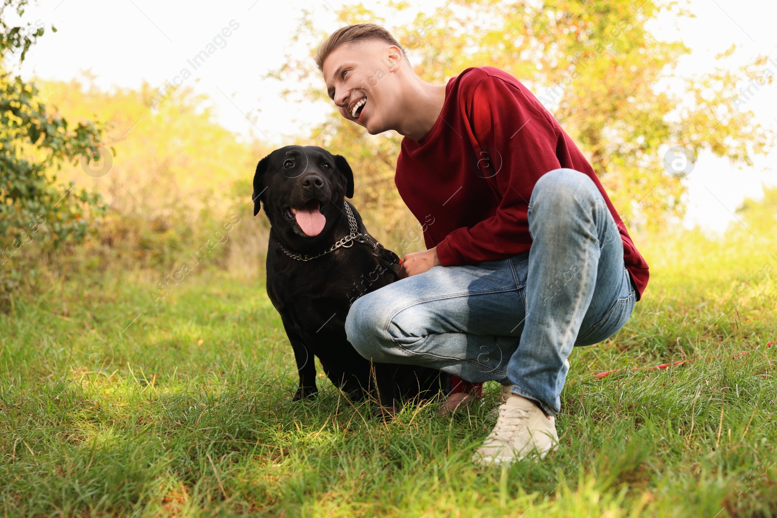 Photo of Smiling man with cute dog outdoors on autumn day