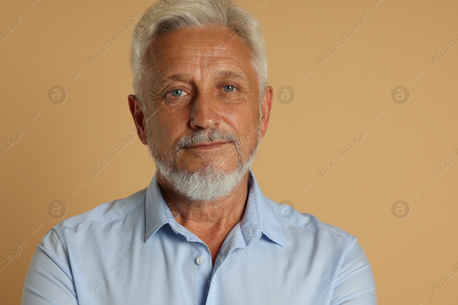 Photo of Portrait of senior man on beige background