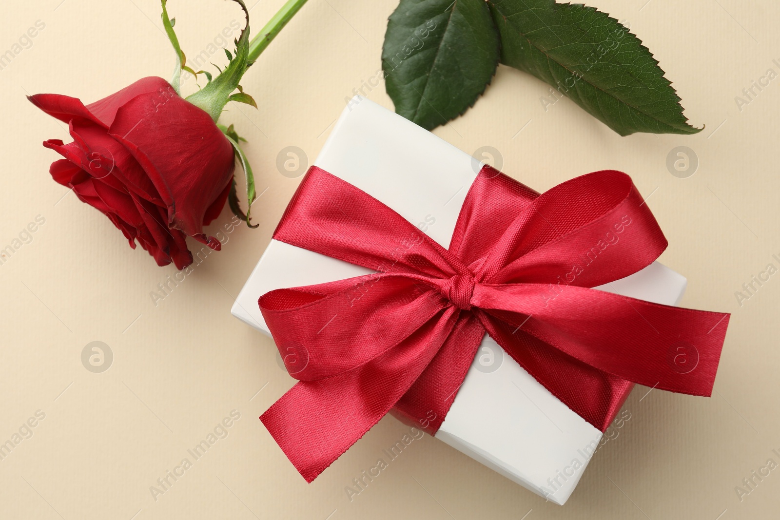 Photo of Beautiful gift box with red bow and rose on beige background, top view