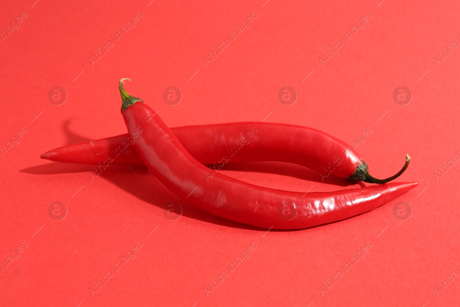 Photo of Fresh ripe chili peppers on red background