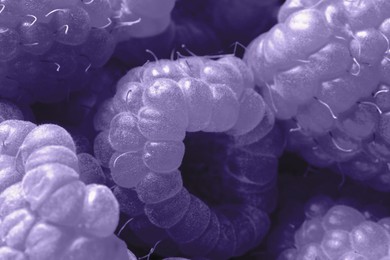 Image of Many fresh ripe raspberries as background, closeup. Toned in blue violet