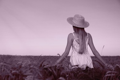 Woman in wheat field, back view. Toned in pink color