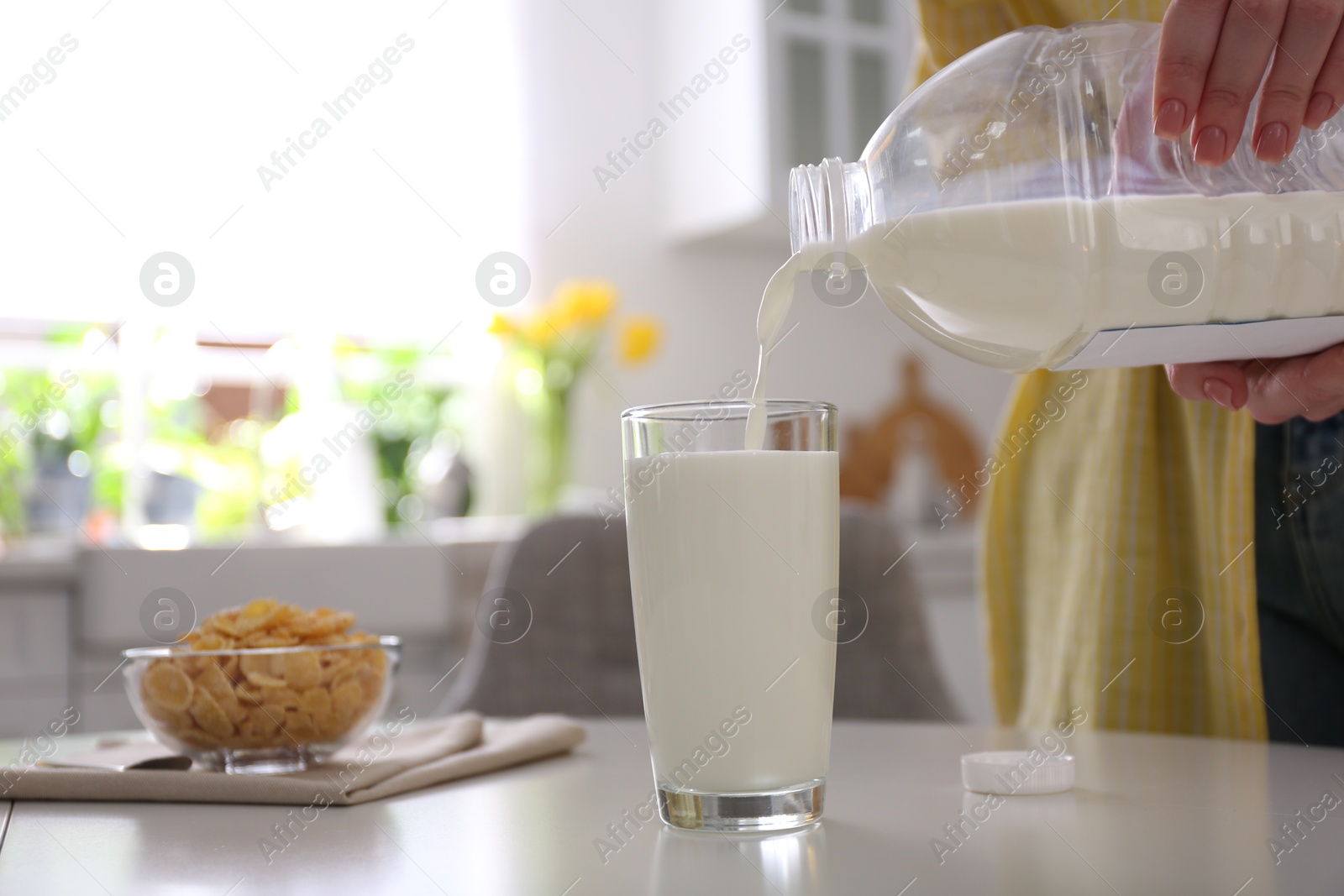 Photo of Young woman pouring milk from gallon bottle into glass at white table in kitchen, closeup