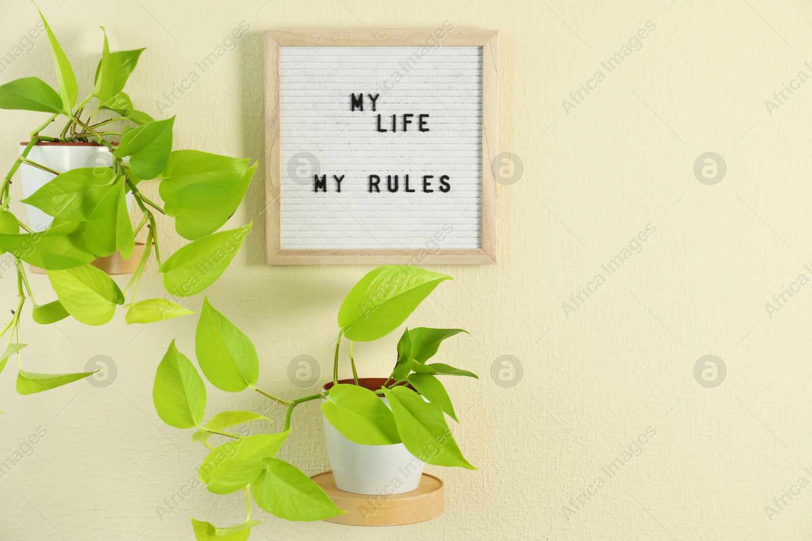 Photo of Letter board with phrase My Life My Rules and plant on beige wall. Space for text