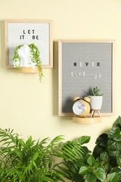 Photo of Letter boards with phrases Let It Be, Never Give Up, alarm clock and plants on beige wall