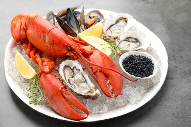 Different sea food on grey table, closeup