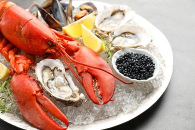 Photo of Different sea food on grey table, closeup